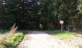 308562