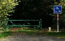308684