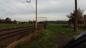 309295
