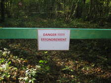 309594