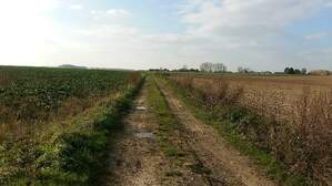 309647