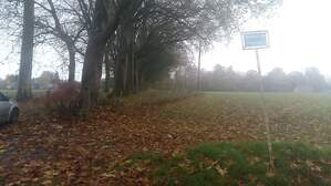 309925