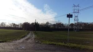 310483