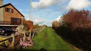 310564