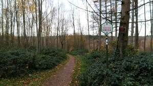 310649