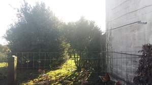310741