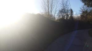 310782