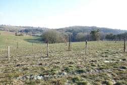 313688