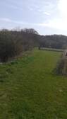 317031