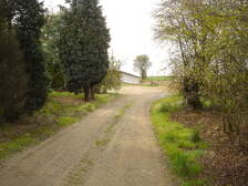 31887