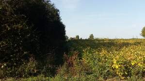 320127
