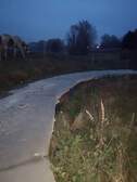 323042