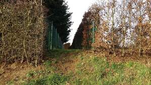 323210