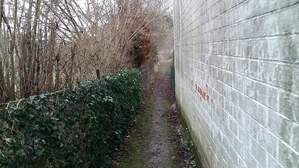 323845