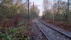 325378