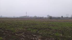 325500