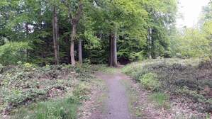 327390
