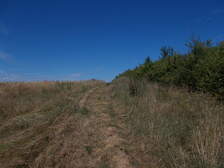 328601