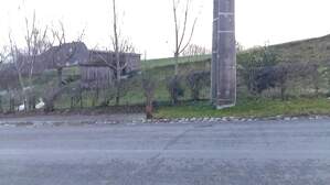 329572