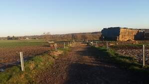 330411