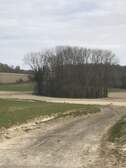 331663