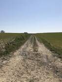 331784