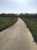 332234