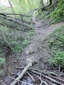332580