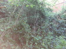 332626