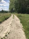 335963
