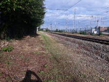 336241