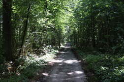 336582