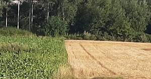 337873