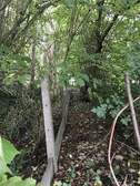 338060