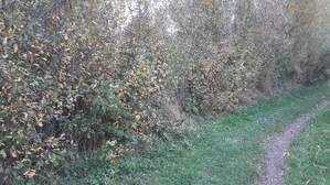 339095