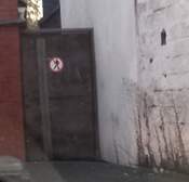 339229