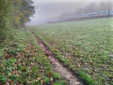 339392