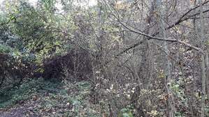 339642