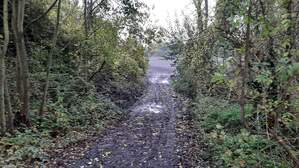 339643