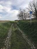 339831