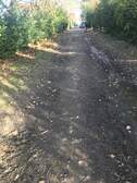 339845
