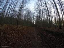 341933