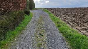 344545