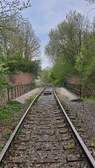345439