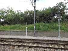 345853
