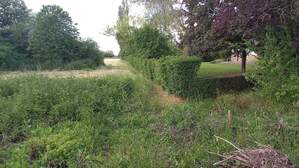 347202