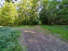 347404