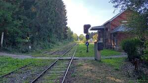 347521