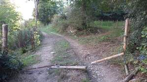 347531