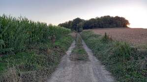 347537